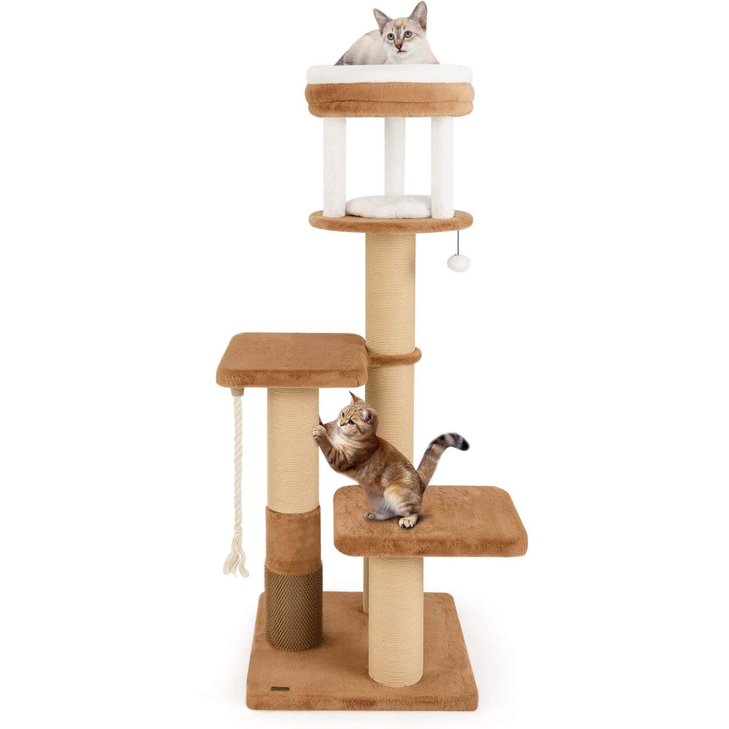 Costway 65 Tall Cat Tree for Indoor with Self-groomer Padded Perch - See Details