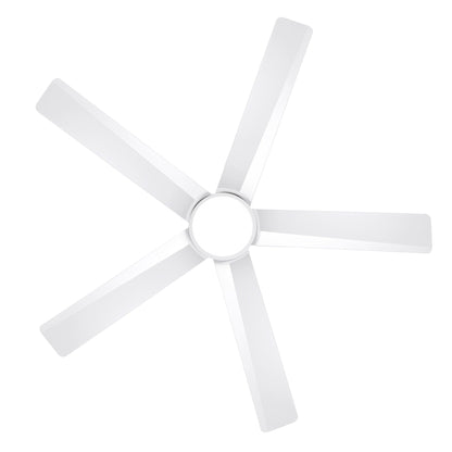 Breezary 65/52/42 5-Blade LED Ceiling Fan with Light Kit and Remote