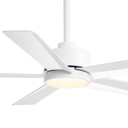 Breezary 65/52/42 5-Blade LED Ceiling Fan with Light Kit and Remote