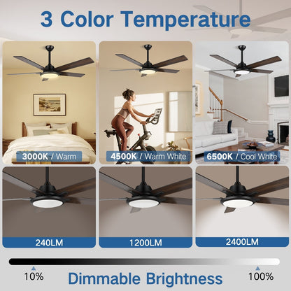 52 Modern Ceiling Fans with Lights and Remote, LED Dimmable