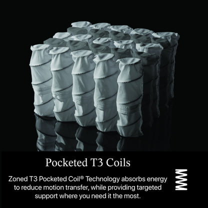 Beautyrest Black L-Class 13.75 Firm Mattress