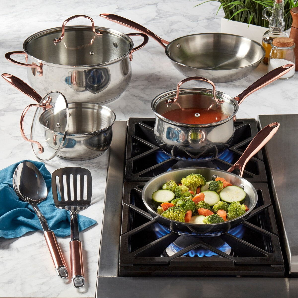 Denmark 10PC Stainless Steel Cookware Set