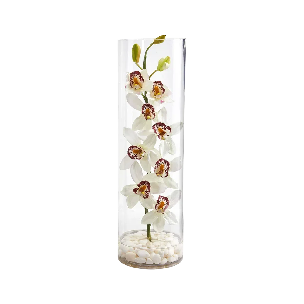 Golden Column Orchid