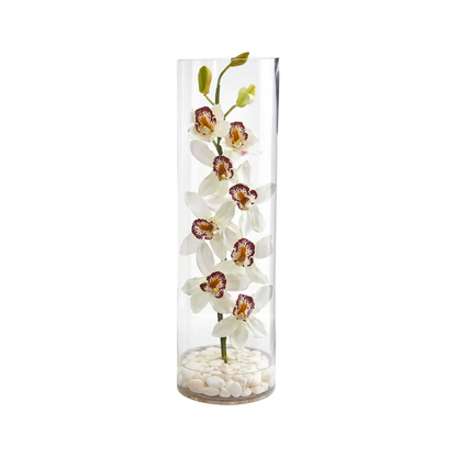 Golden Column Orchid