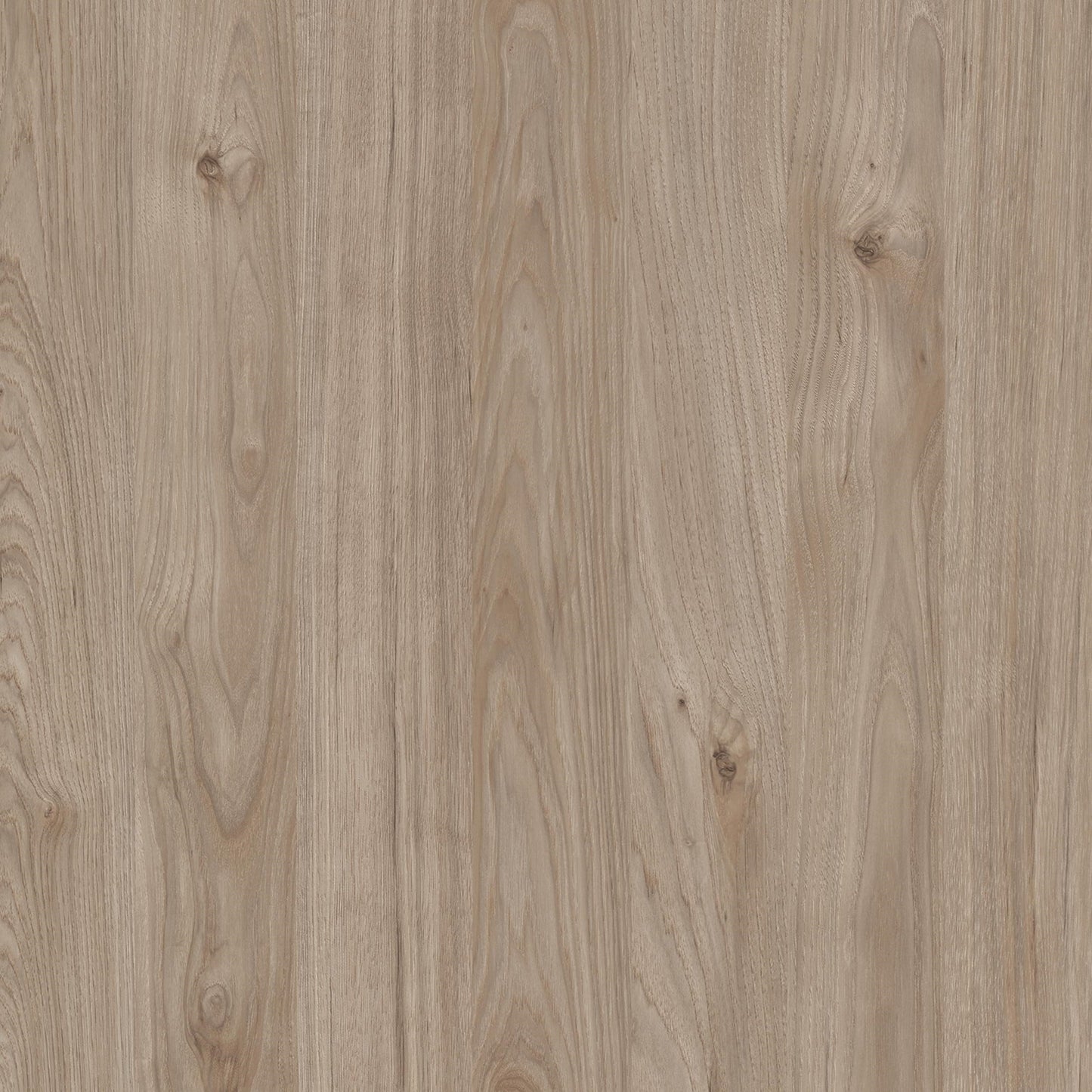 Porch & Den Zoe 6-drawer Double Dresser