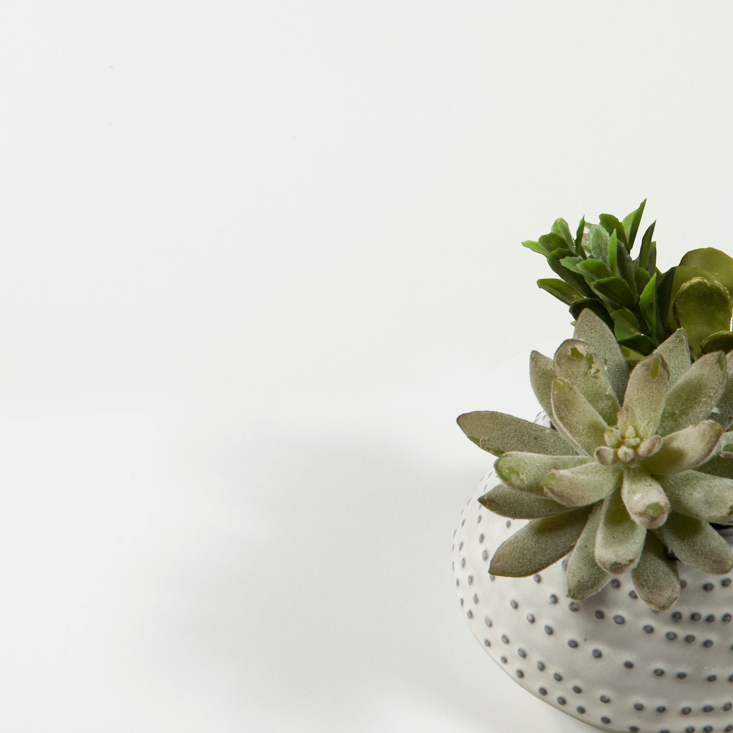 Porch & Den Zoe 6-drawer Double Dresser